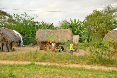 DSC_4339 (Large).JPG